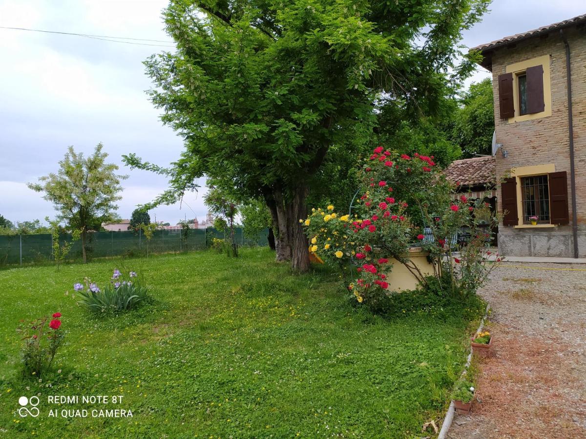 Ravarino La Rosa Selvatica Bed & Breakfast エクステリア 写真