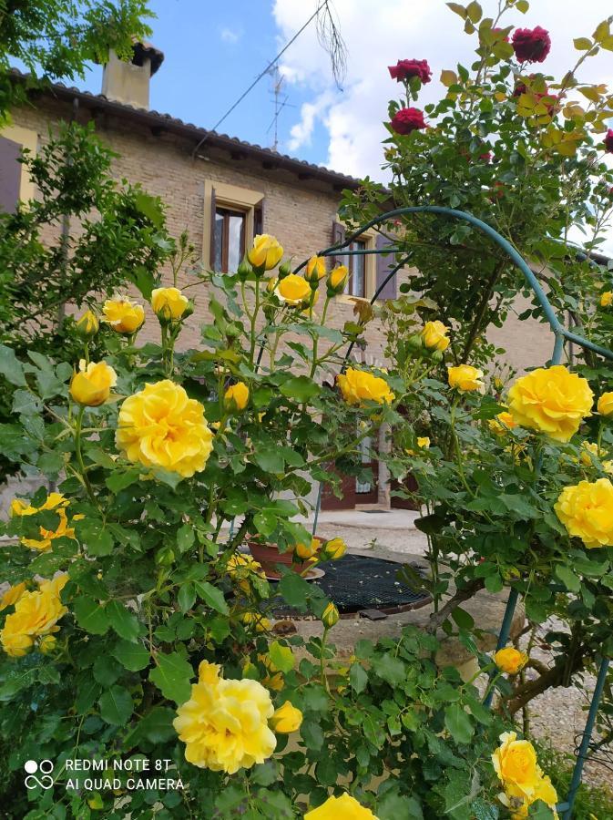 Ravarino La Rosa Selvatica Bed & Breakfast エクステリア 写真