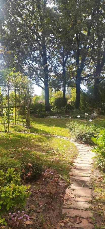 Ravarino La Rosa Selvatica Bed & Breakfast エクステリア 写真