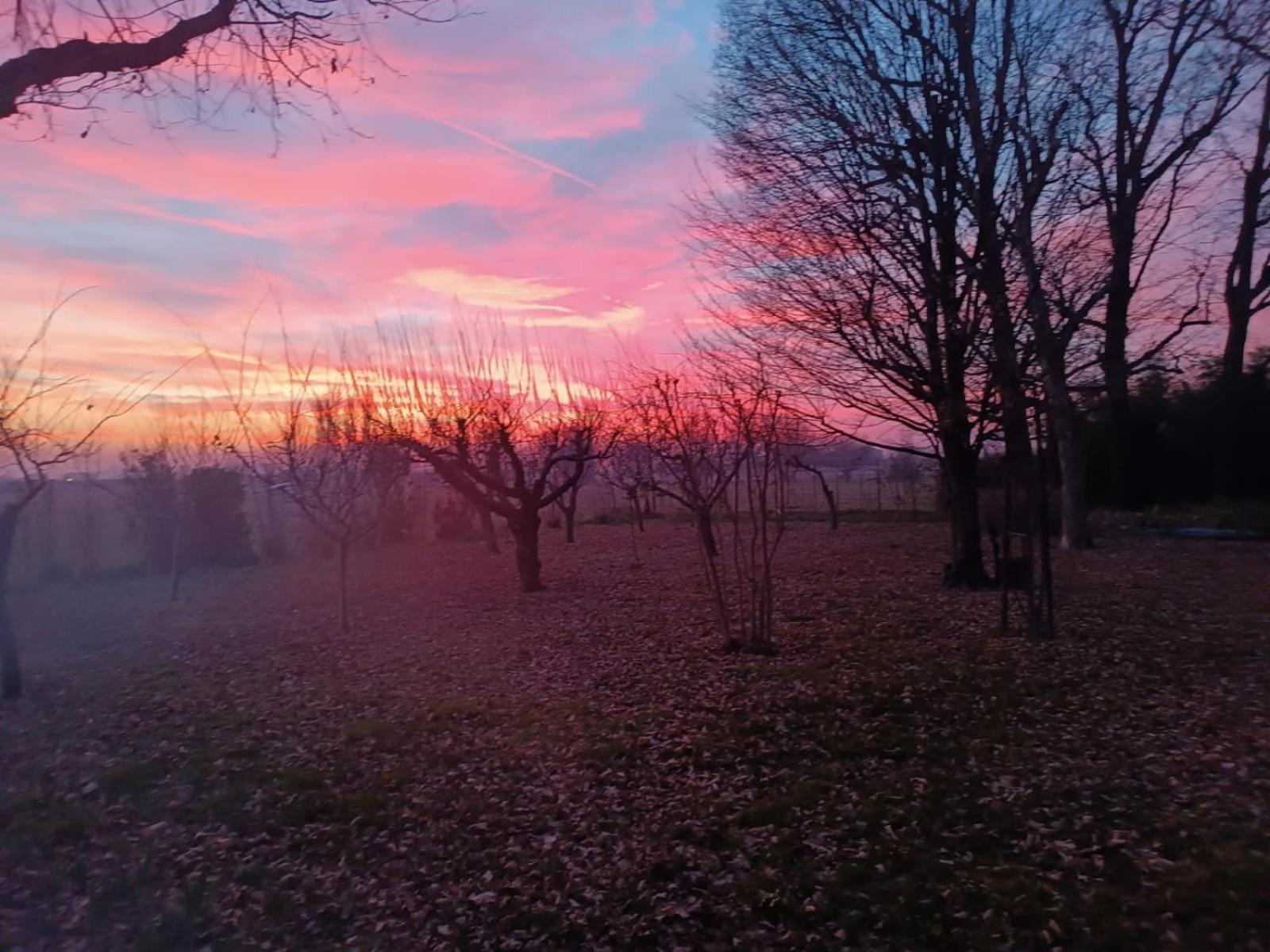Ravarino La Rosa Selvatica Bed & Breakfast エクステリア 写真